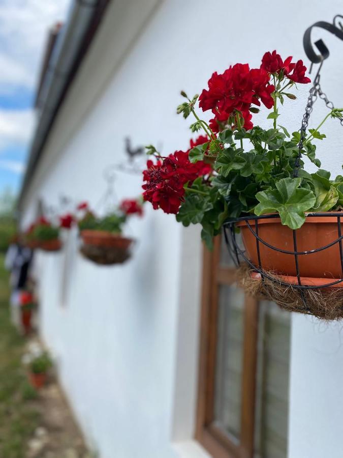 Casa Canda Felsőszálláspatak Kültér fotó